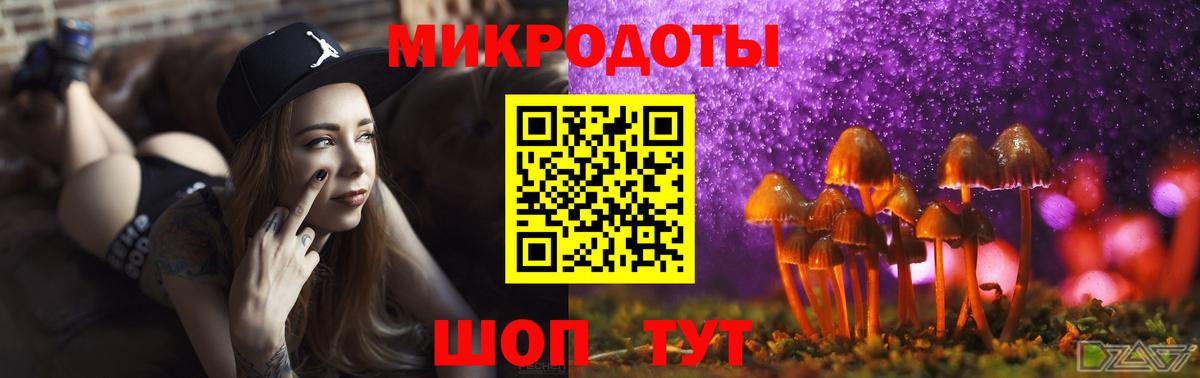 Галлюциногенные грибы Psilocybine cubensis Калининград